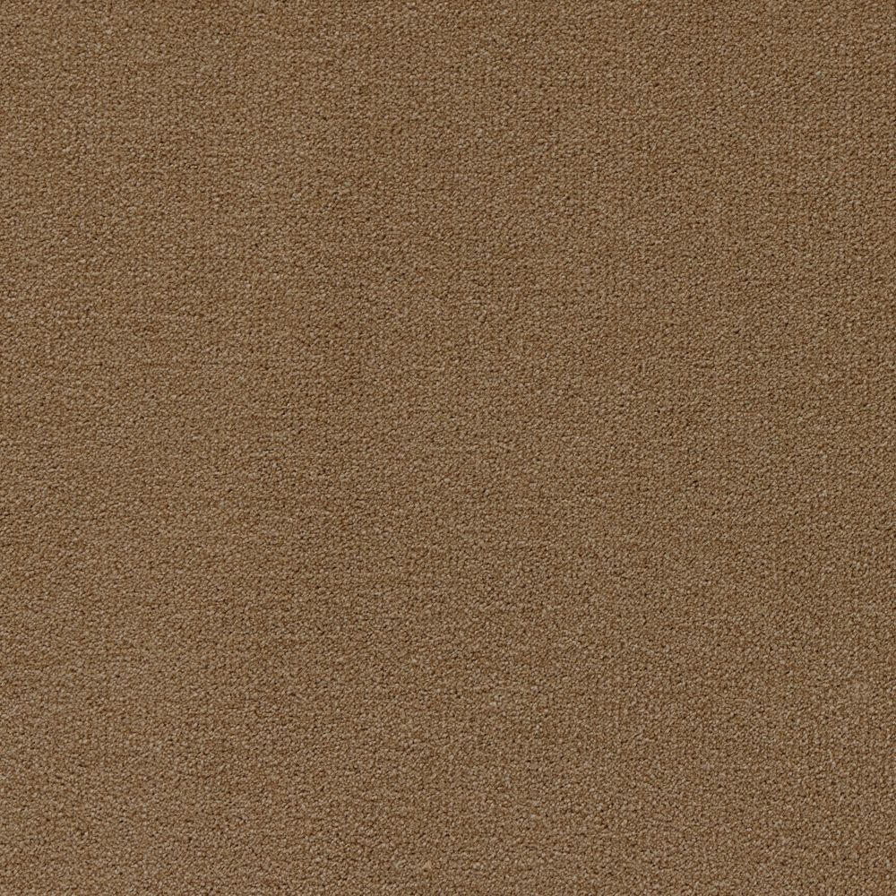 arabica aromatic scent