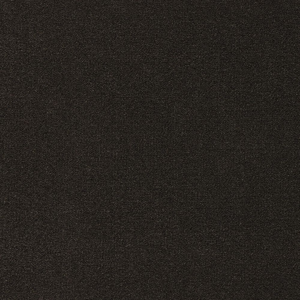 arabica enriched flavour
