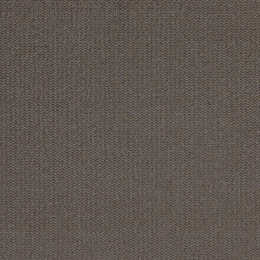 cocoa