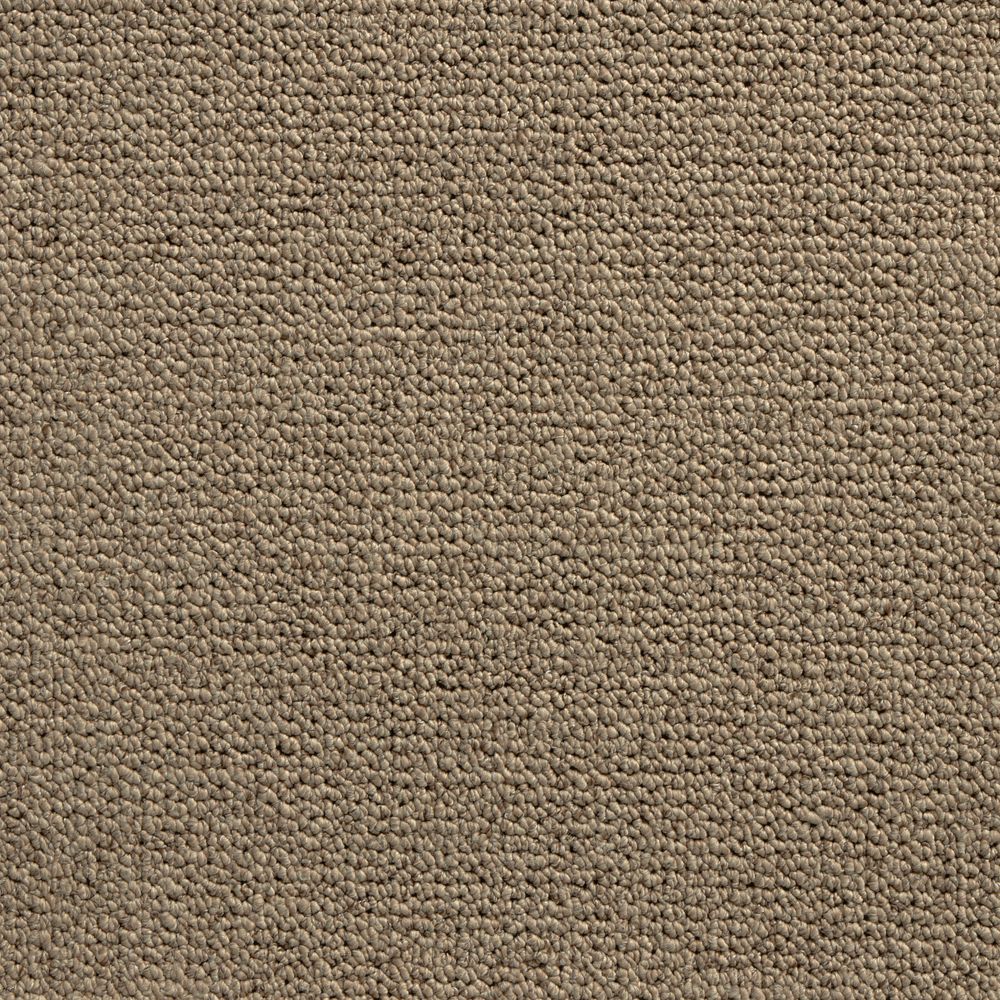 merino hampshire