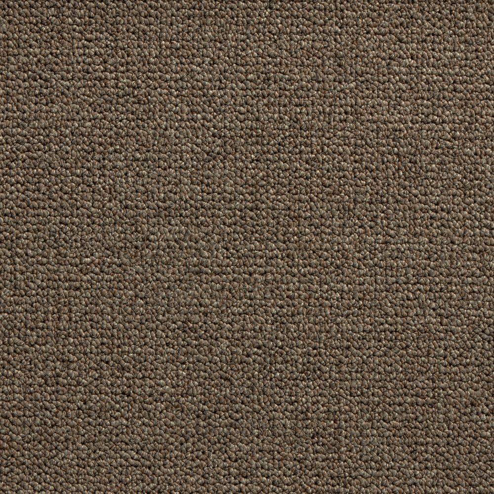 merino karakul