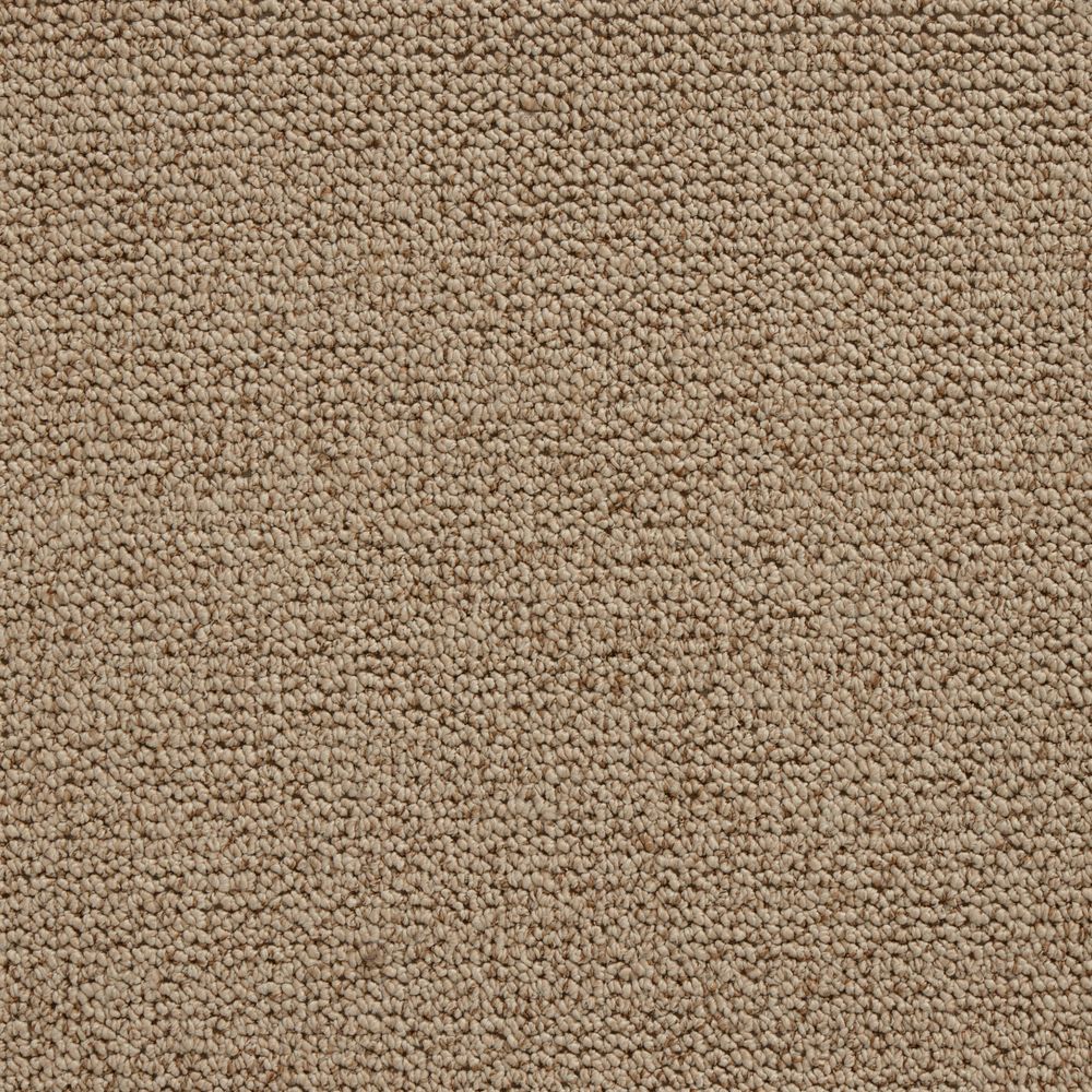 merino shetland