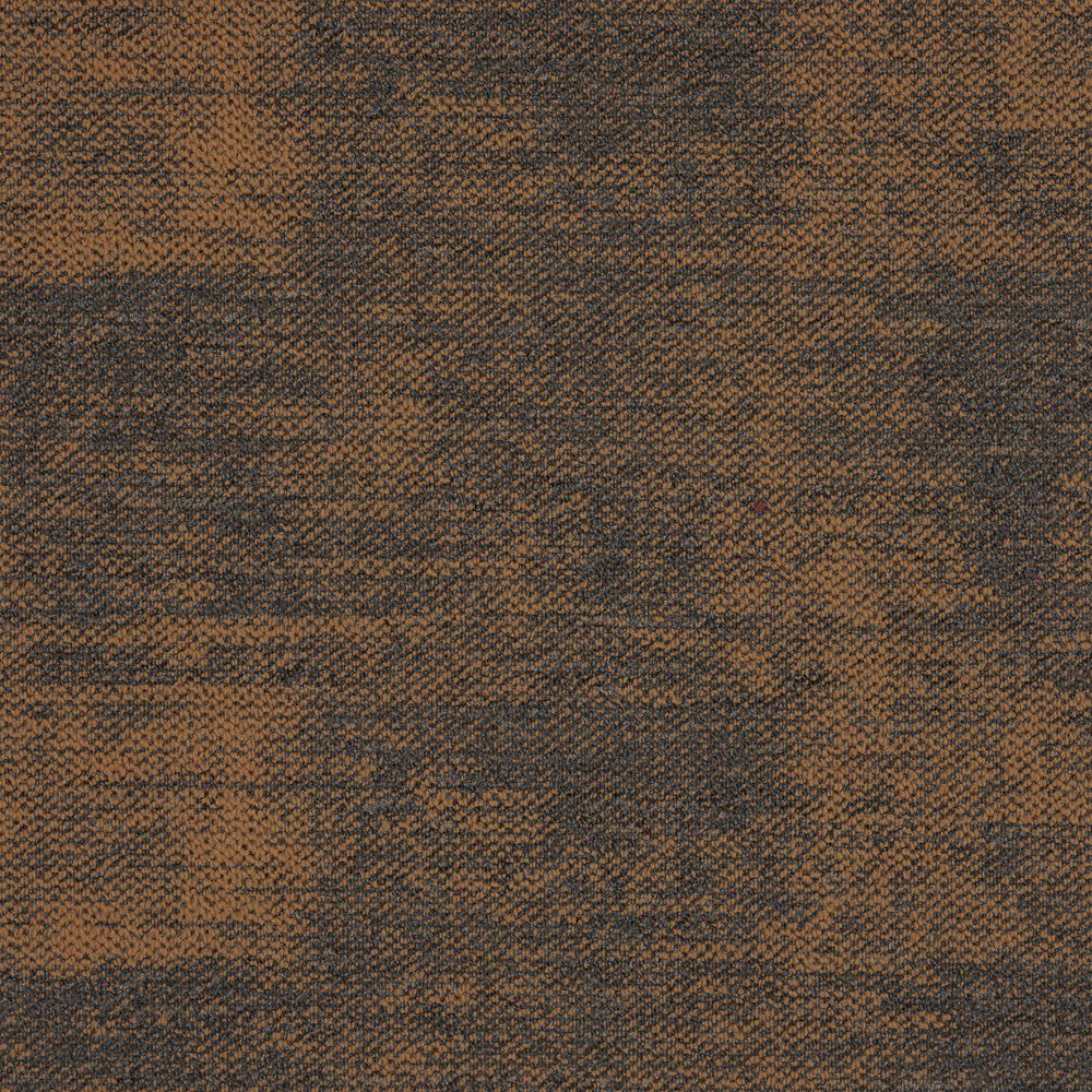 pivot_focus_orange_01