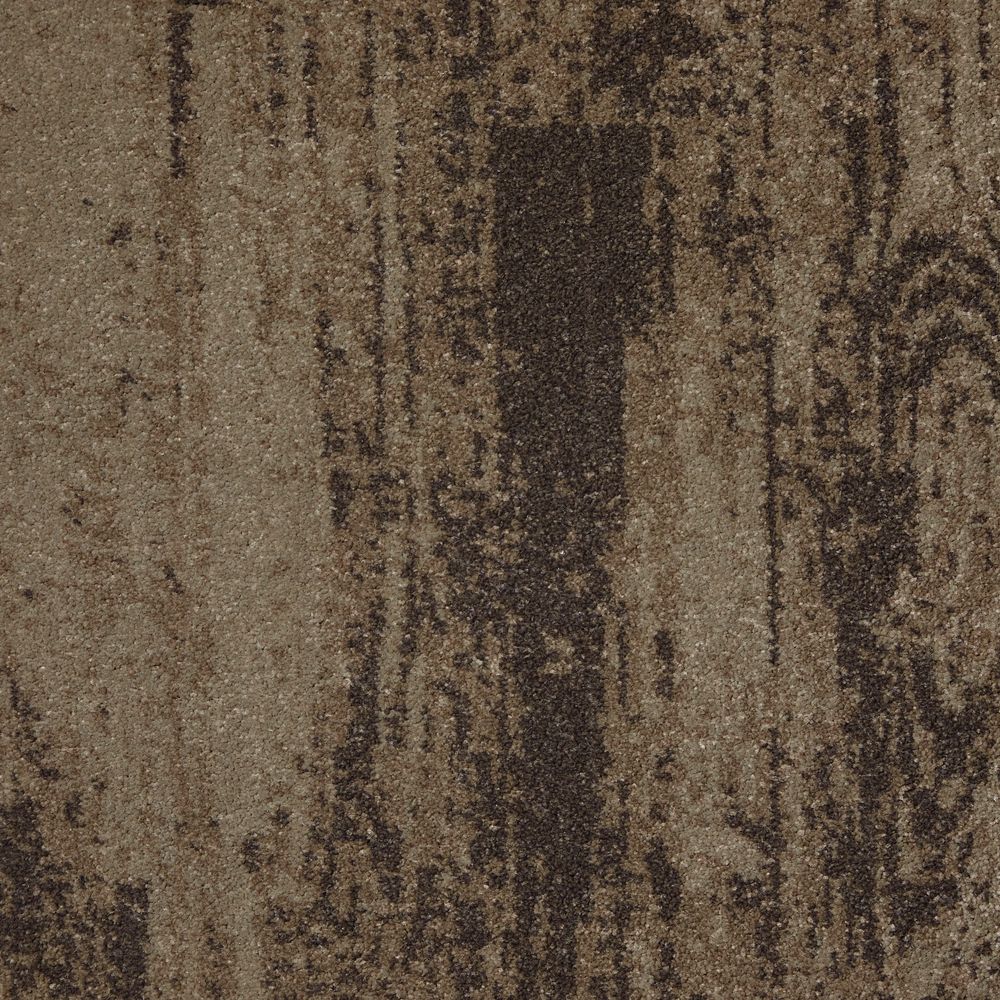 rustic grain ancient beach